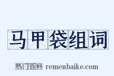 马甲袋组词是什么意思的图片